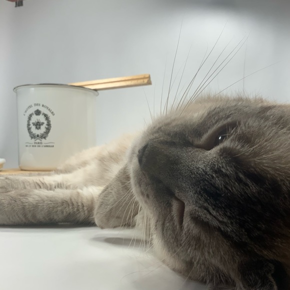 Gamine: noun; girl with mischievous or boyish charm. - Picture 12 of 16